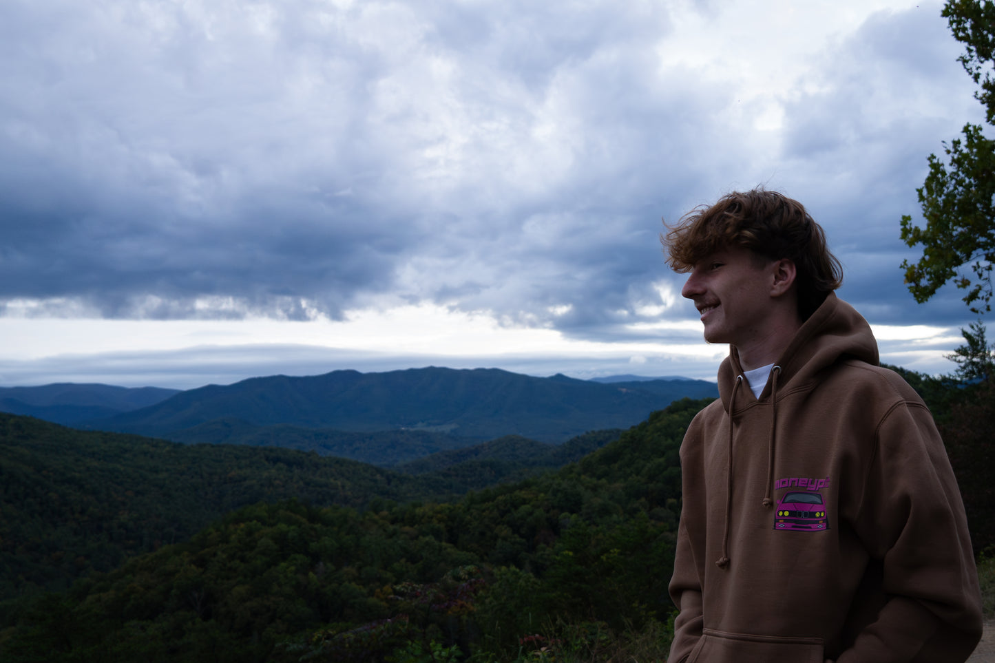 Pink Bmw hoodie